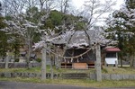 大井神社