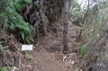 西長尾城跡への道・北口