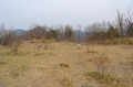 西長尾城跡山頂